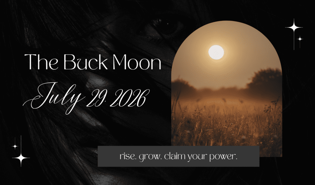 Blog Banner with Moon