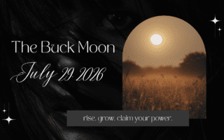 Blog Banner with Moon