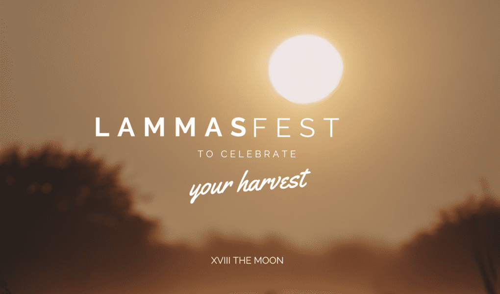 Blog Banner Summner