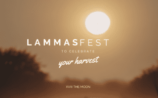 Blog Banner Summner